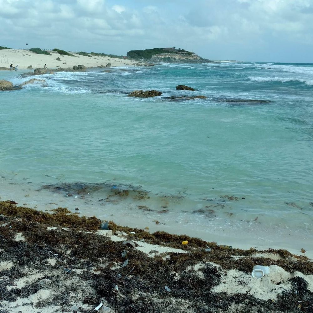 Meet your Posher, Lynn